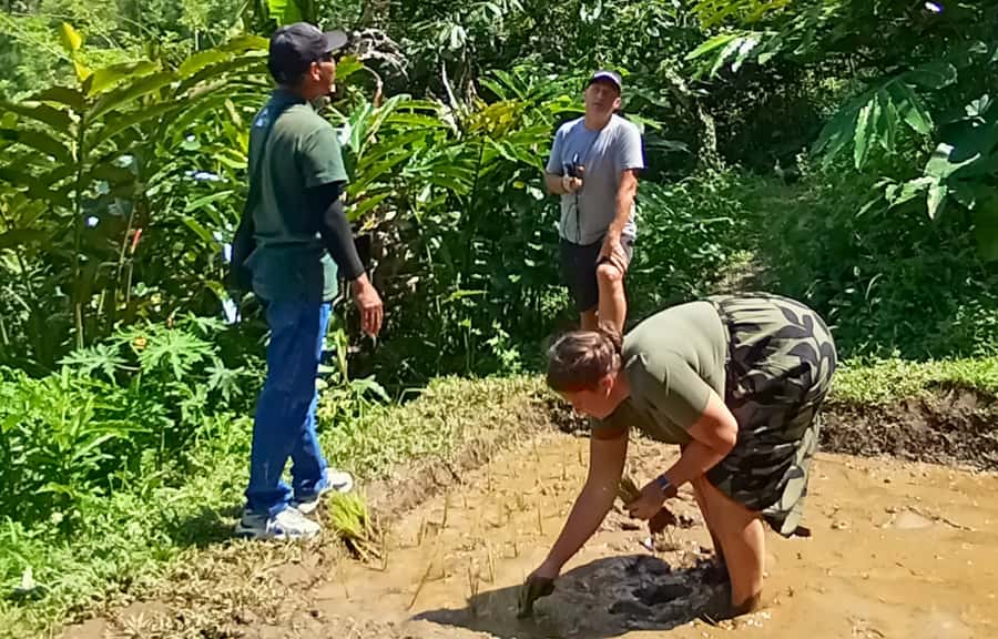 Pure Bali Village Experience Cooking & Jamu Class, Transfer - Playing Rindik and Exploring the Herb Garden