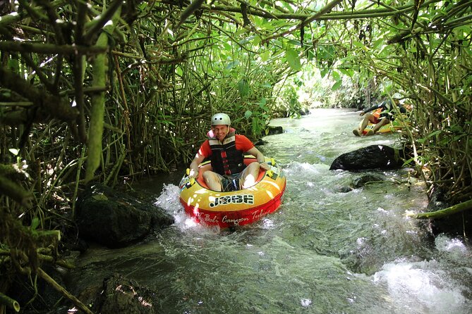 Quad or Buggy Tour with Canyon Tubing Adventure in Bali - Who will enjoy this tour most?