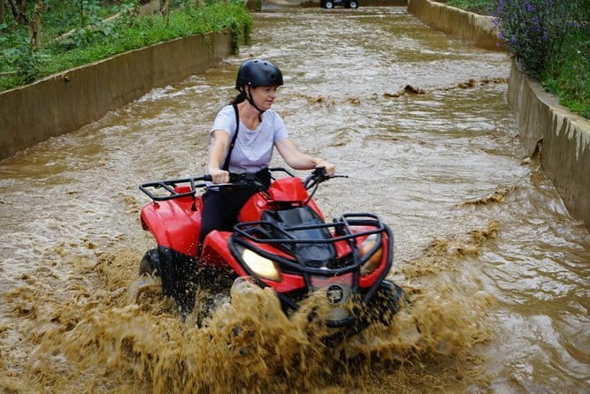Quad Ride and Ubud Tour - Key Points to Know Before You Book