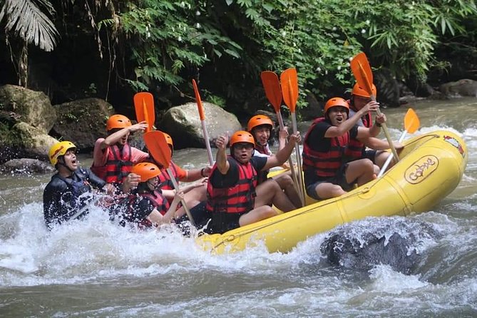 Rafting Swing Monkey Forest And Waterfall Tour All Inclusive - Sacred Monkey Forest Sanctuary in Ubud