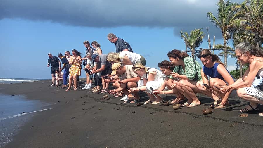 Saba Beach: Horse Riding & Turtle Release Experience - Key points to know before booking