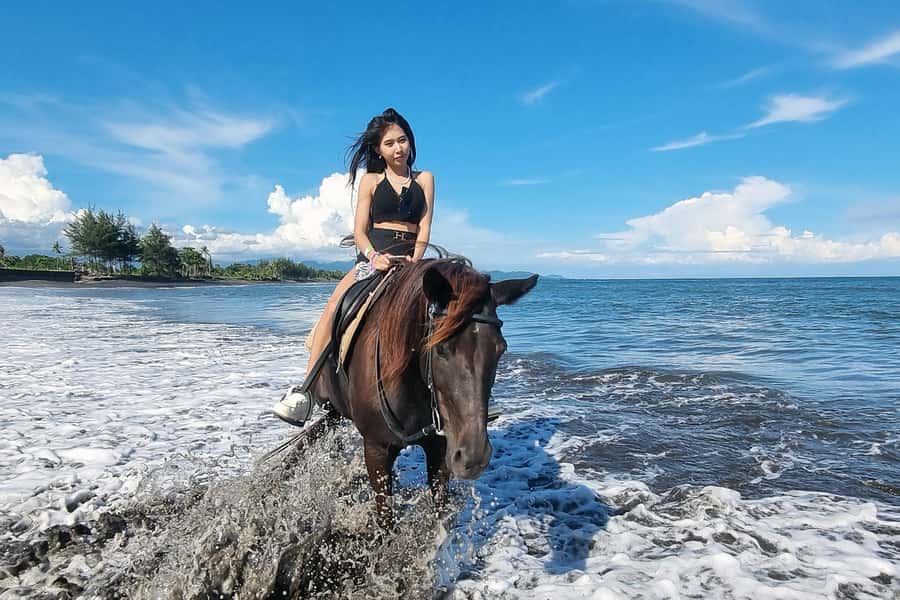 Saba Beach: Horse Riding & Turtle Release Experience - Traditional coffee-making and local tastings