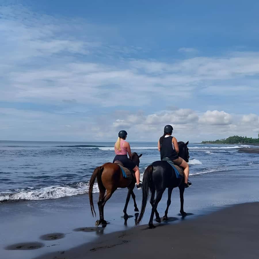 Saba Beach: Horse Riding & Turtle Release Experience - Who should book this experience?