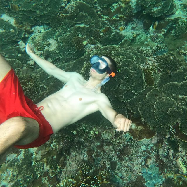 Sanur: Coastal Area Snorkeling Session - Timing, language, and cancellation