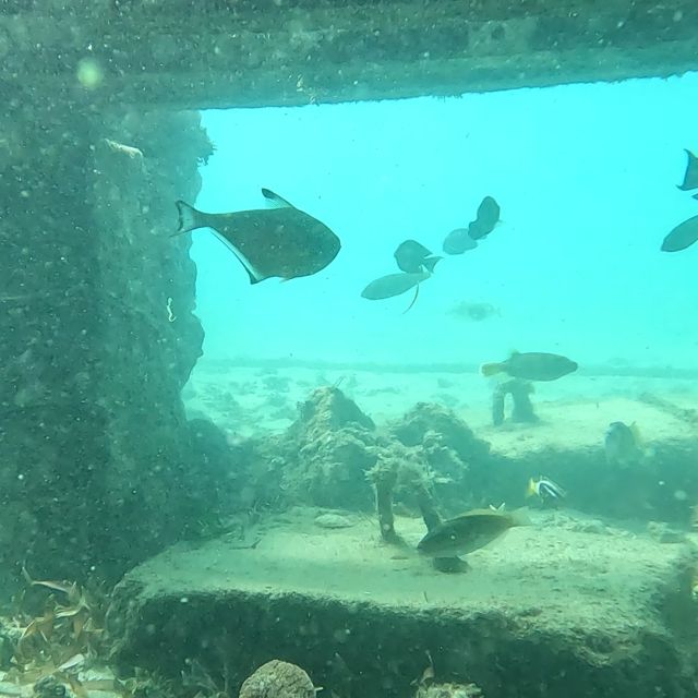Sanur: Coastal Area Snorkeling Session - The Sanur snorkeling site