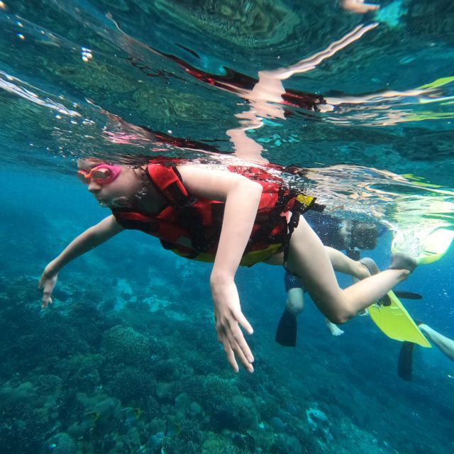 Sanur: Coastal Area Snorkeling Session - Fish feeding and the close-up view