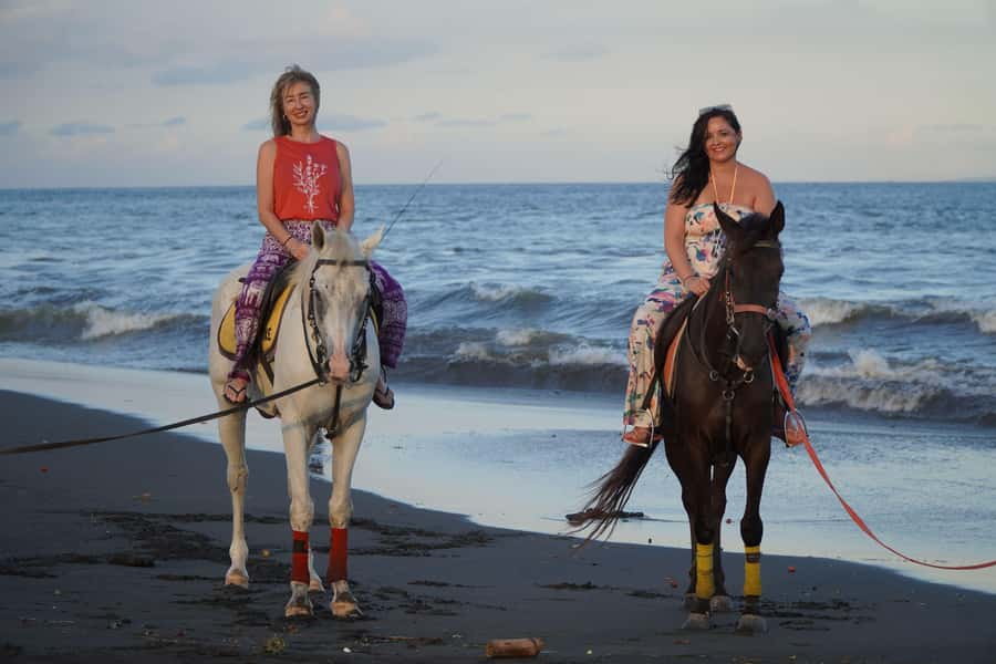 Sanur: Horse Riding at the Bali Beach 30 minute ride - Cantering, galloping, and the limits of a short ride