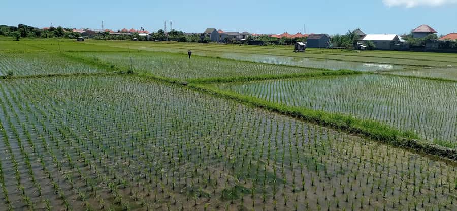 Sanur Village E-bike Tour: Family-Friendly Adventure - Who will enjoy this tour most?
