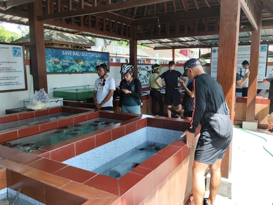 Sanur Village E-bike Tour: Family-Friendly Adventure - Mangroves, crabs, and a quiet temple