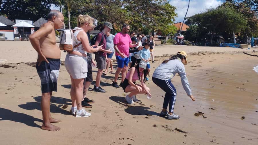 Sanur Village E-bike Tour: Family-Friendly Adventure - Turtle conservation by the beach