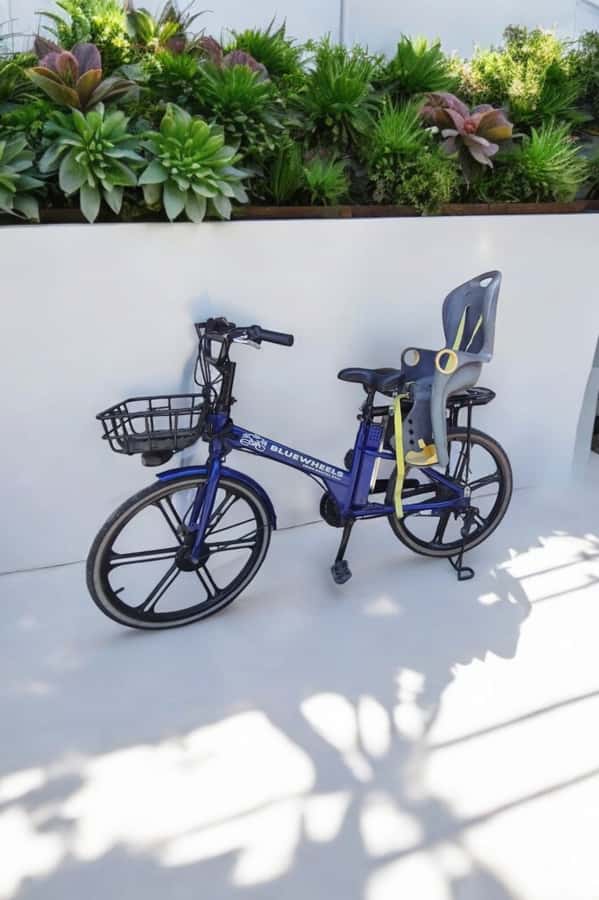 Sanur Village E-bike Tour: Family-Friendly Adventure - Is $47 a fair price?