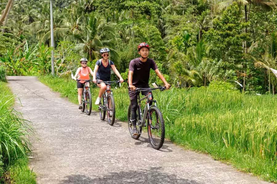 Scenic Cycling Tours Through Bali's Sidemen Countryside - Key details before you book