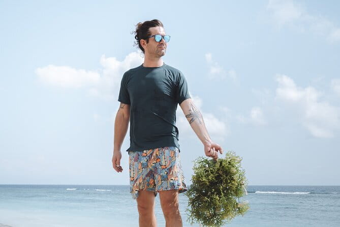 Seaweed Farming Activity and Sightseeing at Diamond Beach - Key points at a glance