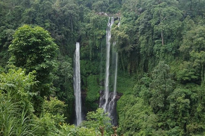 Sekumpul waterfall & aling2 waterfall with private service (including activity) - Who will enjoy this tour most