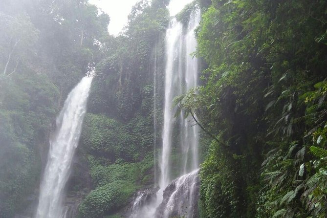 Sekumpul waterfall & aling2 waterfall with private service (including activity) - Aling-Aling: start with the active part