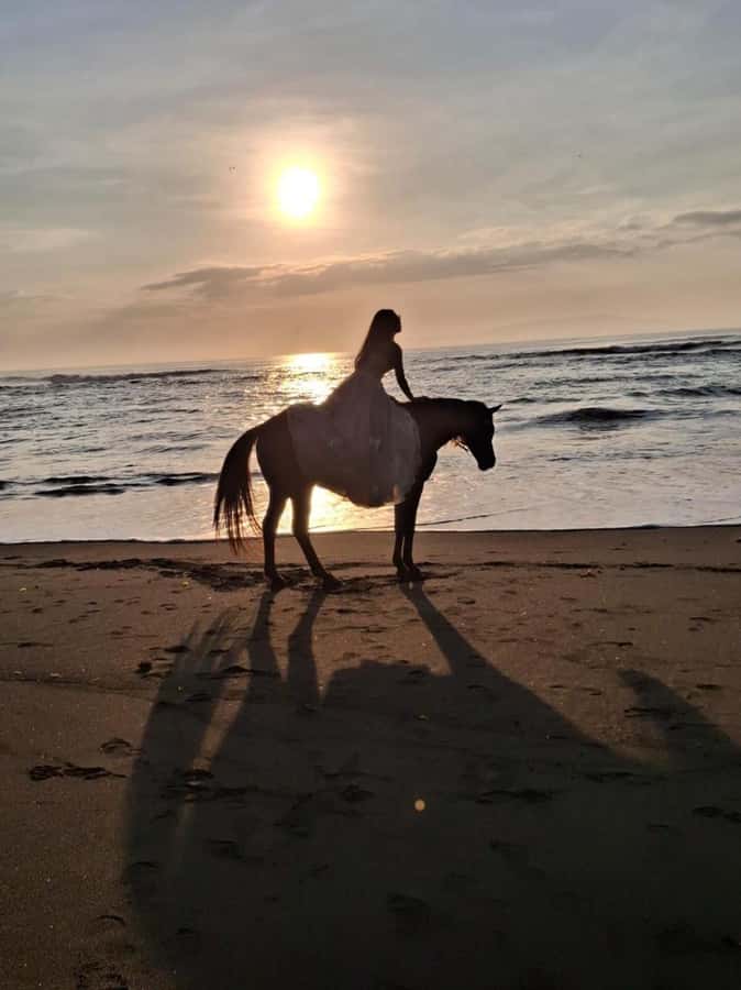 Seminyak: Bali Horse riding Adventure Seminyak Beach - Choosing Between 30 Minutes and One Hour