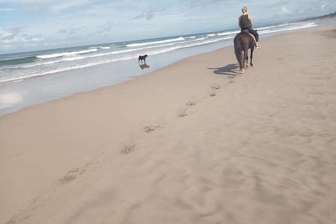 Seminyak Beach Bali Horse Riding - Helmet Information Needs Clarifying