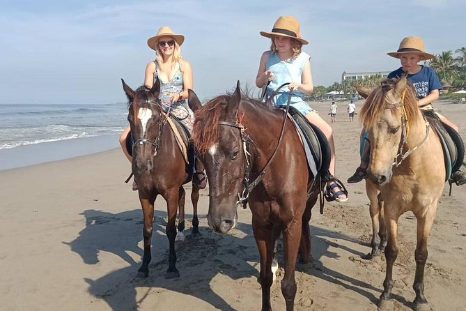 Seminyak Beach Bali Horse Riding - What Is Included, and What You Need to Arrange