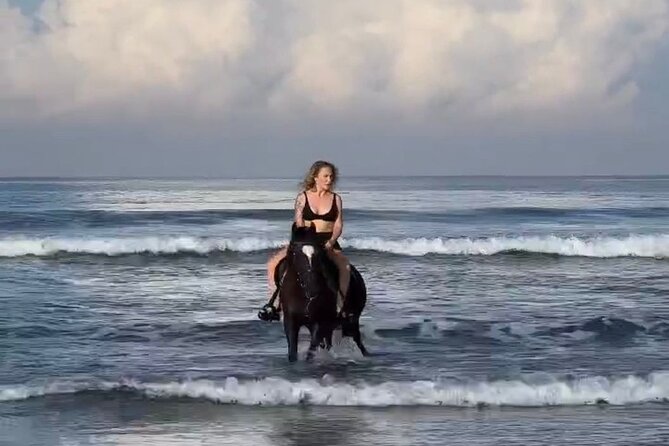 Seminyak beach Private Bali Horse Riding - Key points before you book