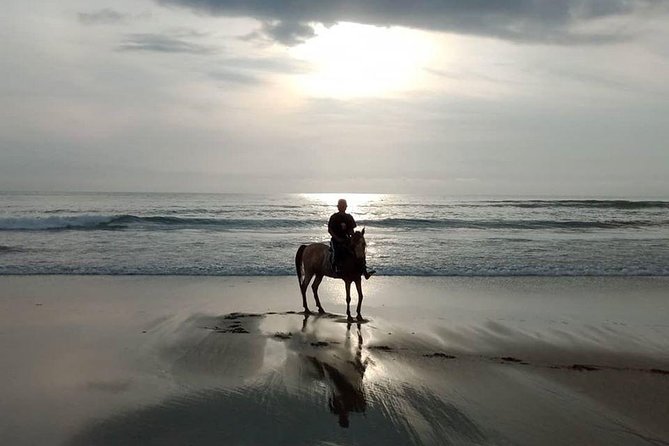 Seminyak beach Private Bali Horse Riding - Safety equipment and practical limits