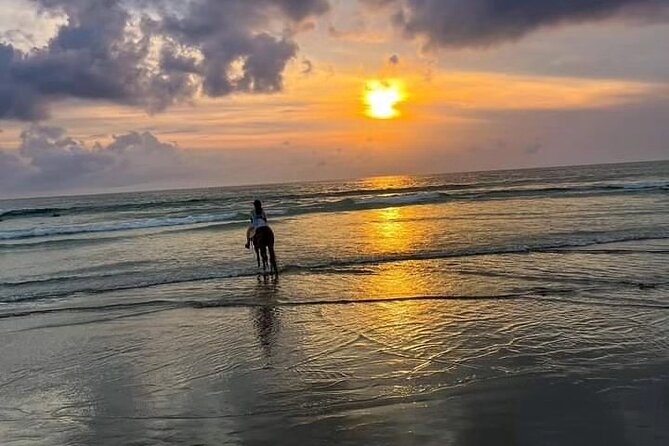 Seminyak beach Private Bali Horse Riding - One hour beside the ocean