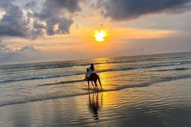 Seminyak Horse back riding In the beach - Starting at Mesari Stables on Jalan Abimanyu