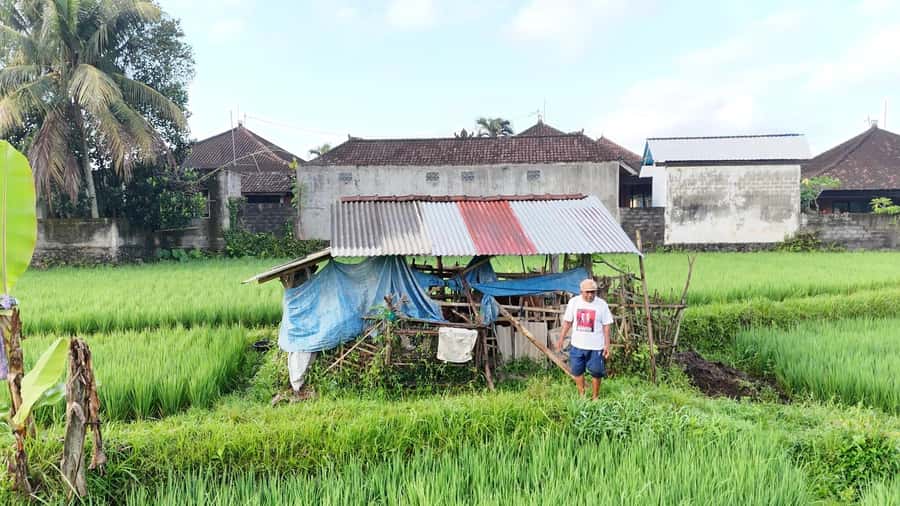 Sidemen rice terraces trek and local village walk - Starting with a short safety briefing