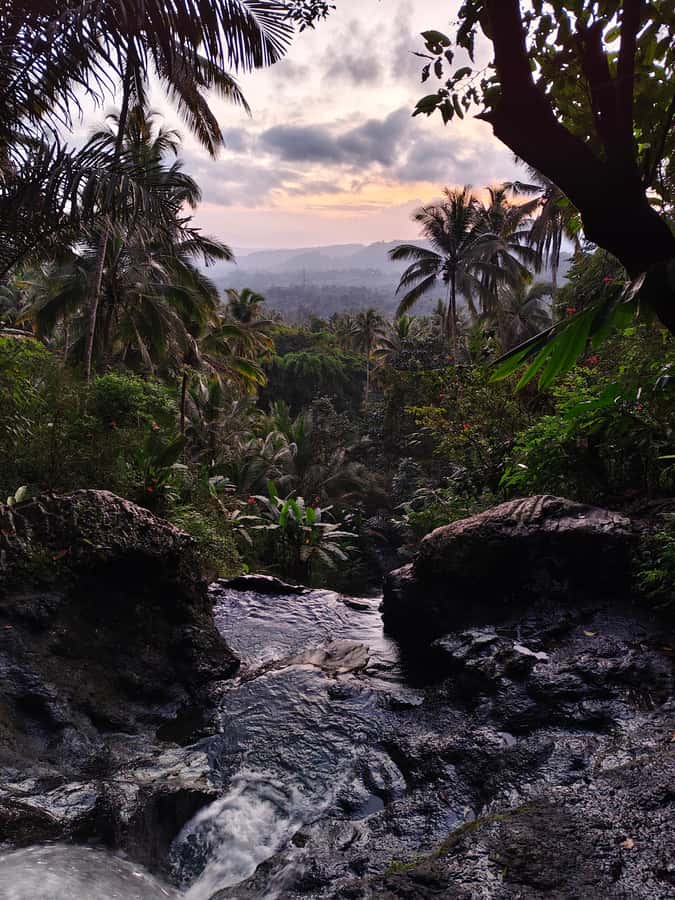 Sidemen: Rice Terraces, Waterfall, & Village Tour - Tasting flavored coffee at a local farm