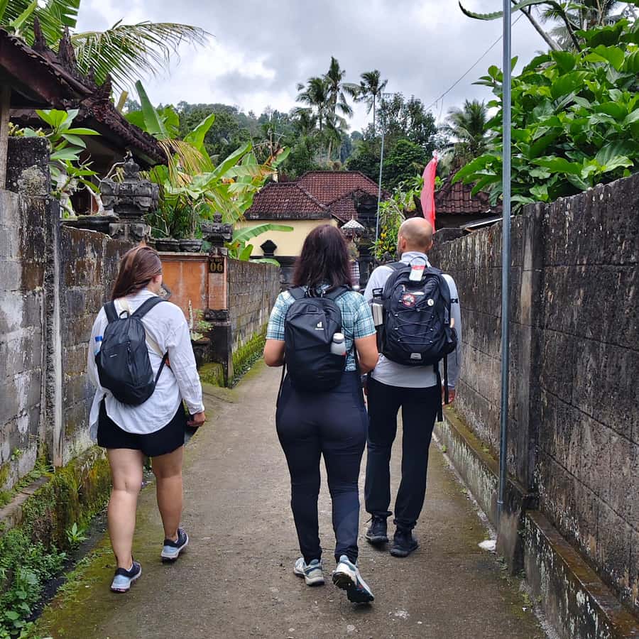 Sidemen: Rice Terraces, Waterfall, & Village Tour - What the $55 price buys you