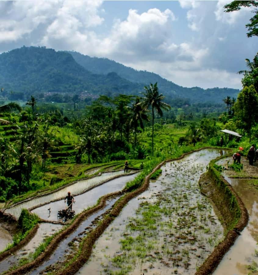 Sidemen Trekking: A Walk from Different Perspective - Why this Sidemen walk feels different