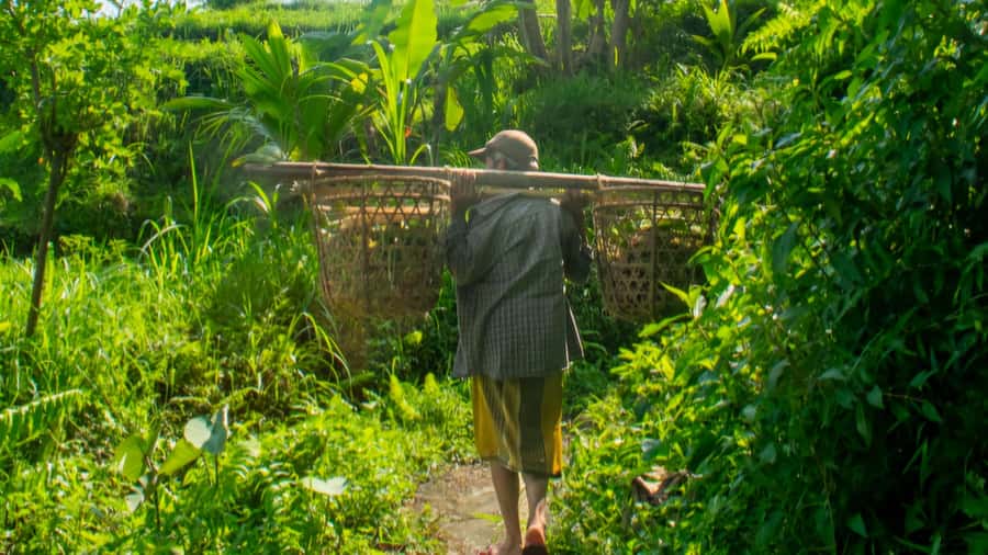 Sidemen Trekking: A Walk from Different Perspective - Following the water toward Mount Agung