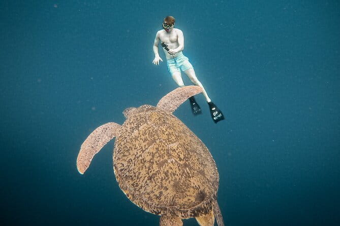 Snorkeling 3 Spots with GoPro & West Coast Tour Nusa Penida - Why this Nusa Penida day works so well