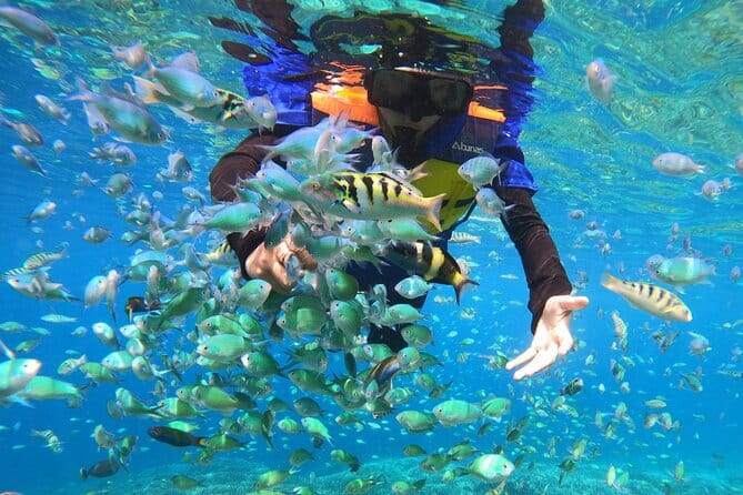 Snorkeling 3 Spots with GoPro & West Coast Tour Nusa Penida - GoPro footage without carrying your own camera