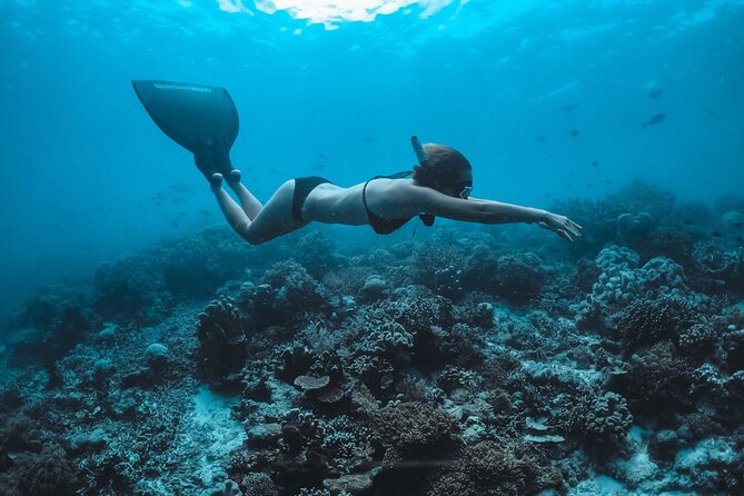 Snorkeling and Freediving Trip around Nusa Penida - Manta rays set the tone at Nusa Penida