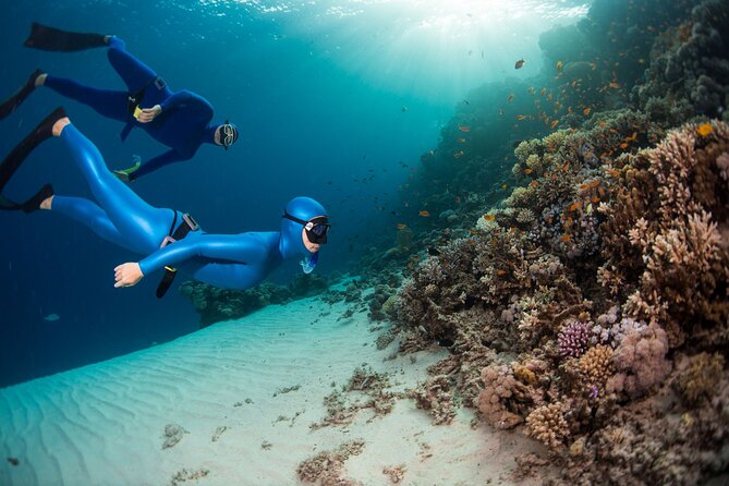 Snorkeling and Freediving Trip around Nusa Penida - Three stops, three different underwater experiences
