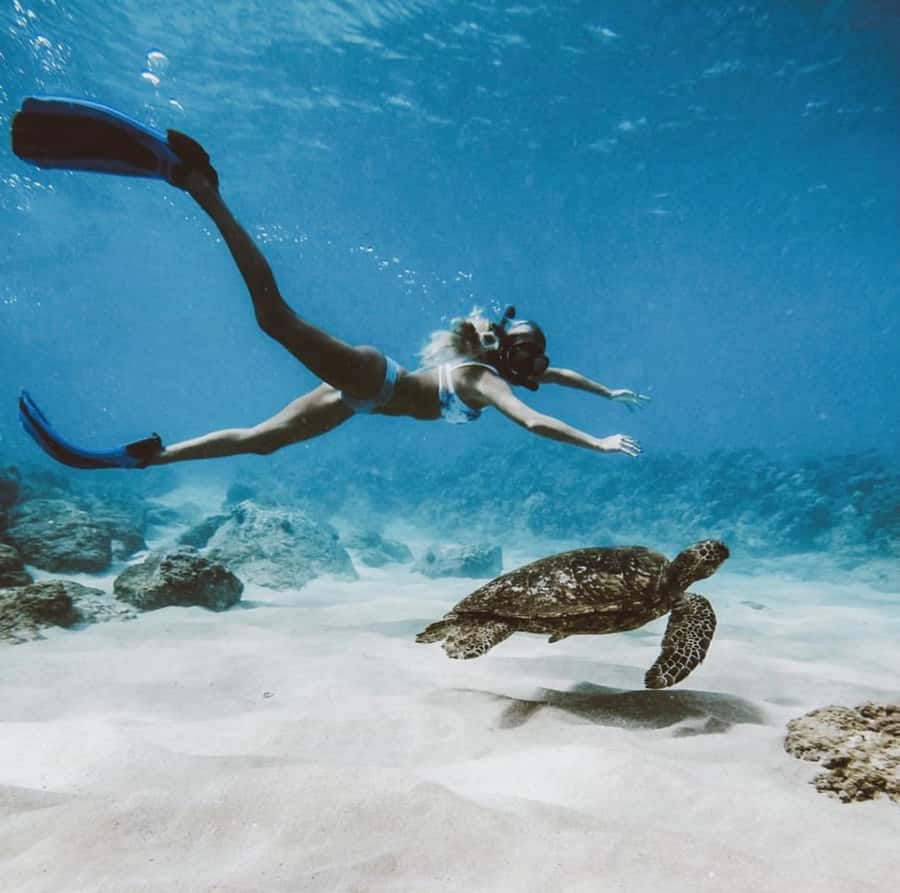 Snorkeling at Blue Lagoon, Tanjung Jepun and Waterfall - Tanjung Jepun and its fish-filled water