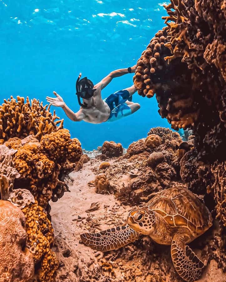 Snorkeling at Blue Lagoon, Tanjung Jepun and Waterfall - What the $67 price really covers