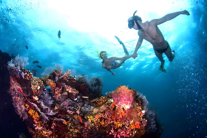 Snorkeling in Blue Lagoon Padang Bai Bali : Snorkel in the clear blue waters - Second site: why two stops improve the outing