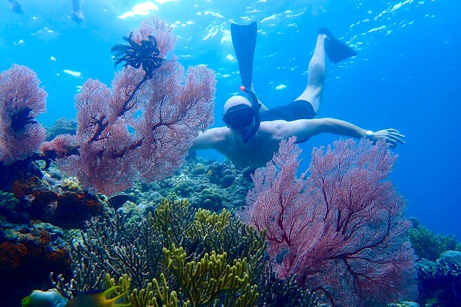 Snorkeling in Menjangan Island with Pickup and Lunch - Key details that shape the day