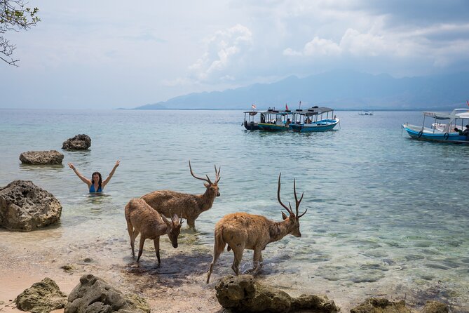 Snorkeling in Menjangan Island with Pickup and Lunch - Second snorkeling stop: more time in the water