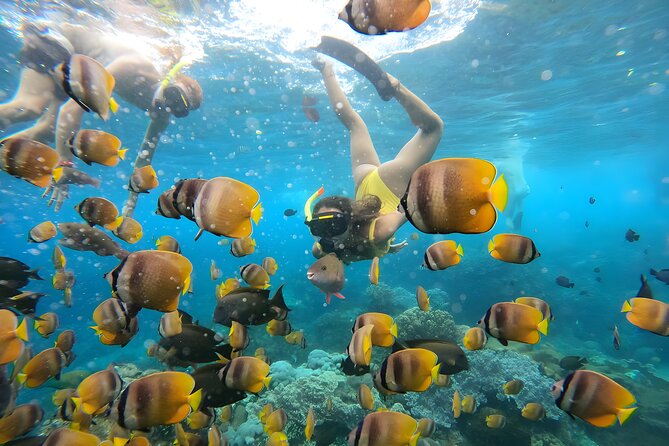 Snorkeling In Nusa Penida Departing From Bali Island - What the $104.50 price really buys