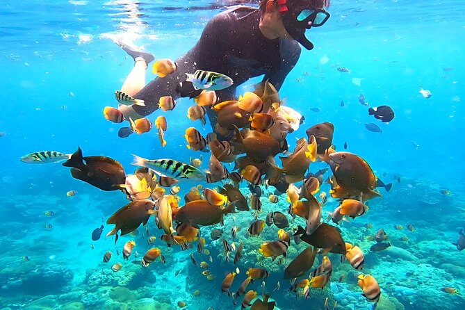 Snorkeling In Nusa Penida Departing From Bali Island - Gamat Bay: a promising first water stop