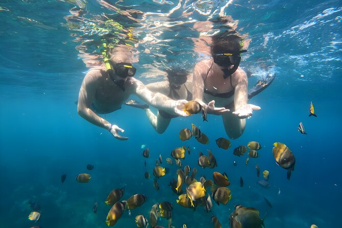 Snorkeling In Nusa Penida Departing From Bali Island - Crystal Bay and the manta question