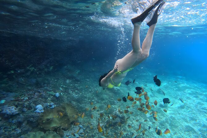 Snorkeling In Nusa Penida Departing From Bali Island - Wall Point and the best chance for coral