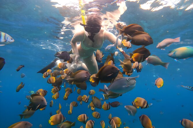Snorkeling In Nusa Penida Departing From Bali Island - Manta Bay, shared boats, and crowded water