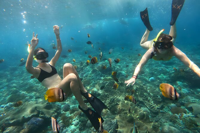 Snorkeling In Nusa Penida Departing From Bali Island - The afternoon option is easier, but less favorable