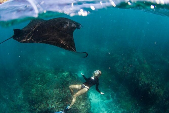 Snorkeling Manta Ray in Nusa Lembongan - What the two-hour morning usually involves