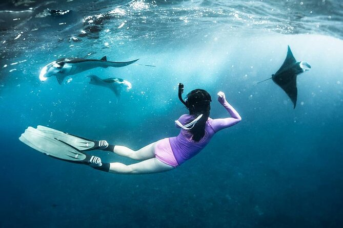 Snorkeling Manta Ray in Nusa Lembongan - What the crew can add to the experience
