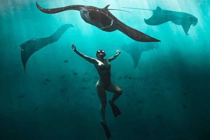 Snorkeling Manta Ray Safari in Nusa Penida - Key points to know before you book