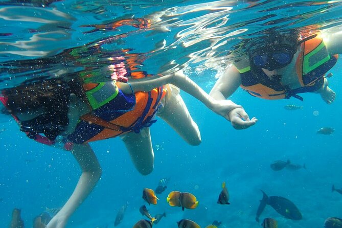 Snorkeling Nusa Penida and Island Tour Package - Should you book the $90 snorkeling and island package?